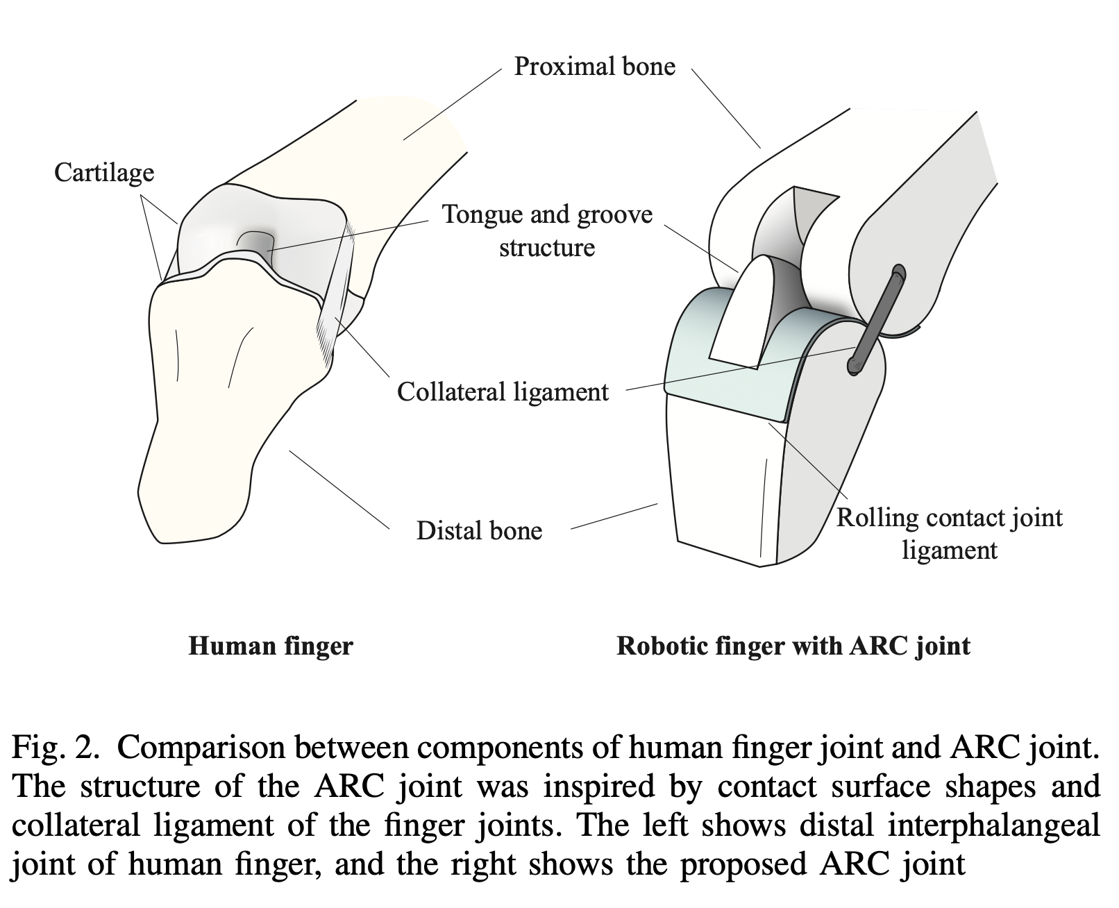 Research Image 1